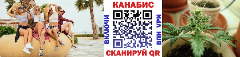 Галлюциногенные грибы Нелидово